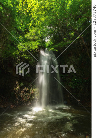 仲夏谷和綠楓 仲夏谷和綠楓 128373740