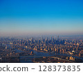 紐約城市景觀從上面 128373835