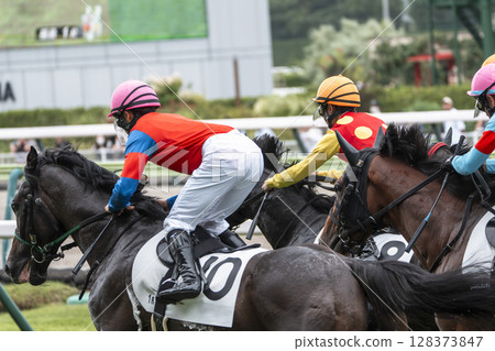 Scenery of a horse racing track: Horses running in a straight line, Fukushima City, Fukushima Prefecture 128373847