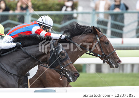 賽馬場風景:直線奔跑的馬匹,福島縣福島市 賽馬場風景:直線奔跑的馬匹,福島縣福島市 128373853