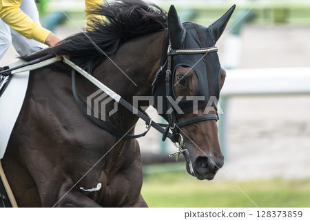 賽馬場風景:直線奔跑的馬匹,福島縣福島市 賽馬場風景:直線奔跑的馬匹,福島縣福島市 128373859
