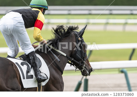 Scenery of a horse racing track: Horses running in a straight line, Fukushima City, Fukushima Prefecture 128373860