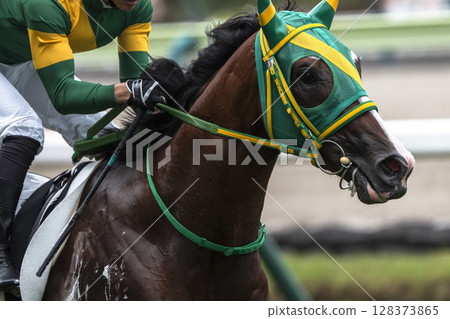賽馬場風景:直線奔跑的馬匹,福島縣福島市 賽馬場風景:直線奔跑的馬匹,福島縣福島市 128373865