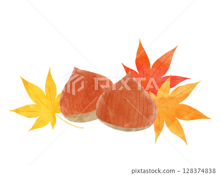 楓葉和栗子的水彩插圖 128374838