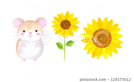 Ham-chan and sunflower illustration 128375012