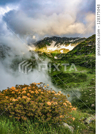 Alpine meadows of the Caucasus. Alpine meadows of the Caucasus. 128375048