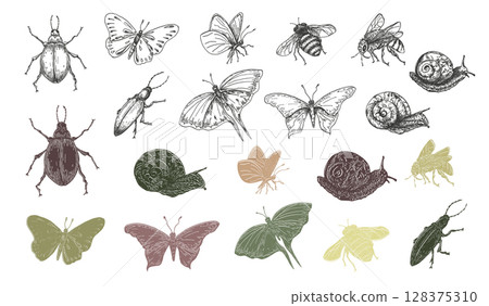 Butterfly, bugs, bee and snail outline vector clipart hand drawn. Silhouette of insects in soft green and red colors. Beautiful insects clipart for design nature journals, fabrics, and scrapbooking. 128375310