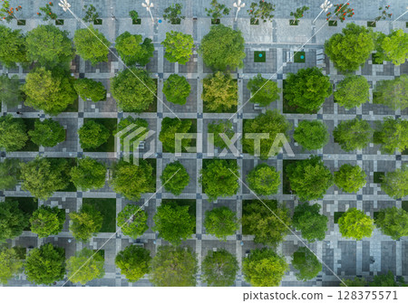 Aerial view of beautiful park landscape 128375571