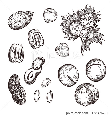 Nuts, pecans, hazelnuts, macadamias, peanuts, hazelnuts, all objects are hand-drawn in vector. Vector illustration for printing on food packaging, for fabric, paper. Vector illustration Nuts, pecans, hazelnuts, macadamias, peanuts, hazelnuts, all objects are hand-drawn in vector. Vector illustration for printing on food packaging, for fabric, paper. Vector illustration 128376253
