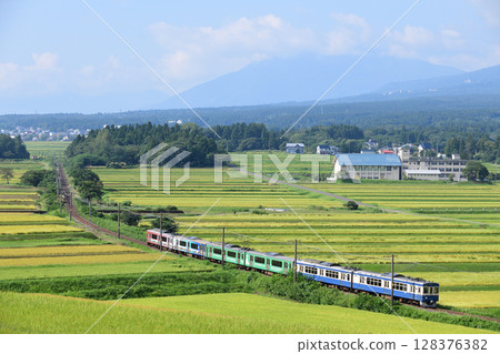 越後心跳鐵道 ET127 系列本地列車在稻米收穫季節穿越梯田 128376382