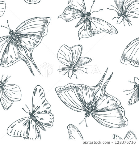 Monochrome Butterfly vector Seamless Pattern. Swallowtail, Monarch, and Painted Lady butterflies hand drawn black white outline on repeated background. Butterflies line art design for vintage print. 128376730