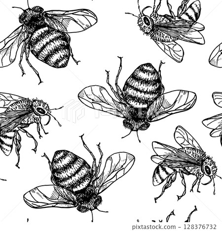Bumblebees and bees black white outline vector seamless pattern. Bee and wasps hand drawn monochrome repeated background. Ink illustration fly insects for organic honey packaging, entomology print. Bumblebees and bees black white outline vector seamless pattern. Bee and wasps hand drawn monochrome repeated background. Ink illustration fly insects for organic honey packaging, entomology print. 128376732