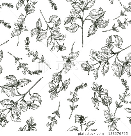 Basil herbs with sprigs and flowering top stems black and white outline vector seamless pattern. Green garden herbs, basil plants hand drawn repeat background for packaging, and botanical print. 128376735