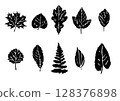 Set of vector leaves from different trees 128376898