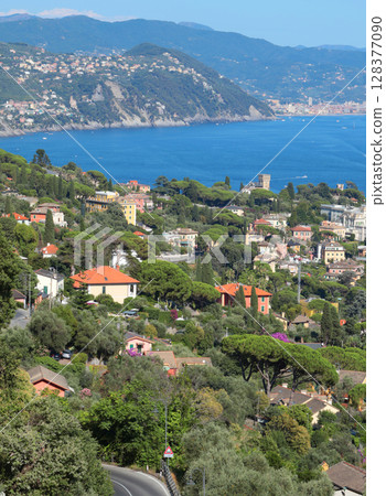 Camogli, Italy - 11 July 2025. Yachts, boats in bay of Liguria. Sea and tourism in Italy. Traditional buildings. Background for design. 128377090