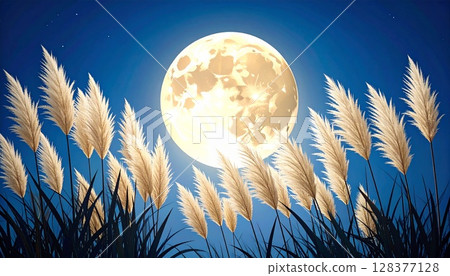 Background illustration of Japanese pampas grass and the moon Background illustration of Japanese pampas grass and the moon 128377128