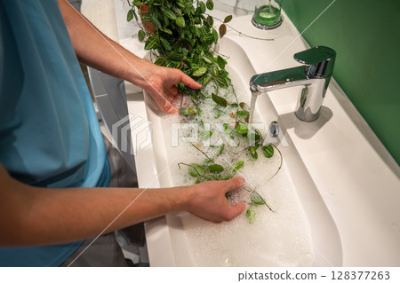 Man washes Dischidia Ovata plant with warm water and soap in sink to clean dust stuck to leaves Man washes Dischidia Ovata plant with warm water and soap in sink to clean dust stuck to leaves 128377263