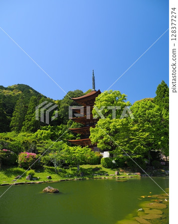 Rurikoji Temple Five-Story Pagoda 2025 128377274