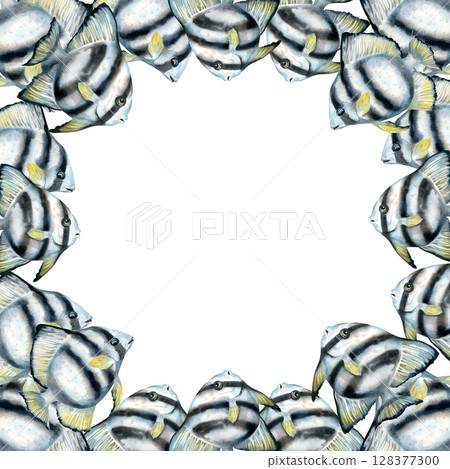 Square frame with black and white striped tropical fish. Watercolor illustration template in neutral colors on white background for marine design, diving, scrapbooking, stickers, art, craft, textile. 128377300