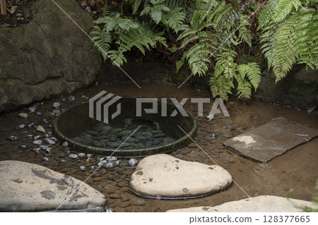 Meiji Shrine Kiyomasa's Well Meiji Shrine Kiyomasa's Well 128377665