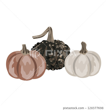 Pumpkins composition isolated on white. Cozy small gourds autumn decoration. Vector squash set illustration Pumpkins composition isolated on white. Cozy small gourds autumn decoration. Vector squash set illustration 128377698
