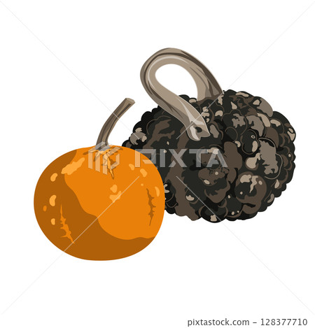 Funny small decorative pimpled pumpkin composition isolated on white. Pimply and warty gourd vector drawing illustration. Funny small decorative pimpled pumpkin composition isolated on white. Pimply and warty gourd vector drawing illustration. 128377710