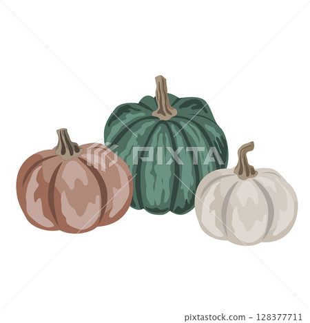 Pumpkins composition isolated on white. Cozy small gourds autumn decoration. Vector squash set illustration. 128377711
