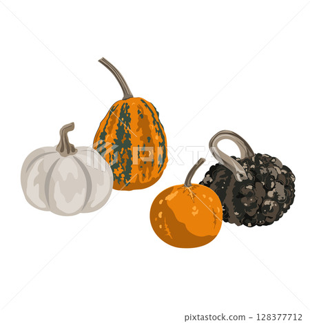 Pumpkins composition isolated on white. Cozy small gourds autumn decoration. Vector squash set illustration. 128377712