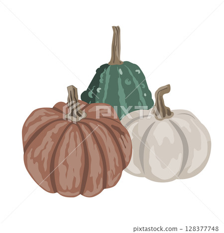 Pumpkins composition isolated on white. Cozy small gourds autumn decoration. Vector squash set illustration 128377748