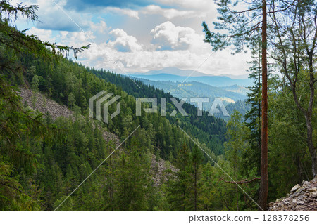 Dense green forest and Carpathian mountain under dramatic sky in summer, panoramic landscape view 128378256