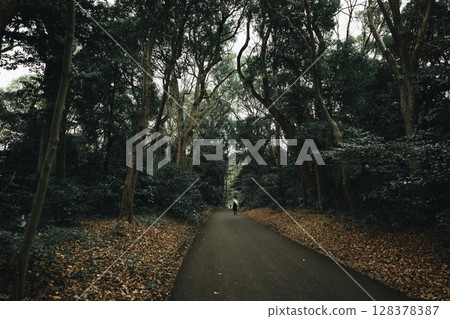 The precincts of Meiji Shrine The precincts of Meiji Shrine 128378387