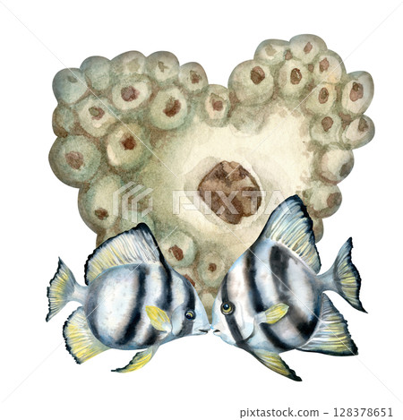 Big heart of beige corals, black-white striped tropical fish. Watercolor hand drawn clipart in beige tones on a white background for sea design, valentine's day, diving, scrapbook, stickers, textile. Big heart of beige corals, black-white striped tropical fish. Watercolor hand drawn clipart in beige tones on a white background for sea design, valentine's day, diving, scrapbook, stickers, textile. 128378651