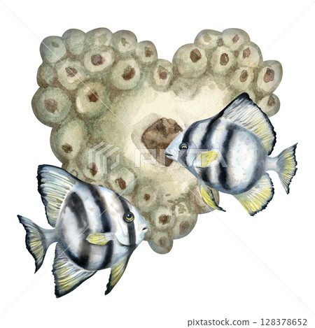 Beige corals in the shape of a big heart, black-white striped tropical fish. Watercolor hand drawn clipart on a white background for sea design, diving, book, scrapbooking, stickers, craft, textile. 128378652