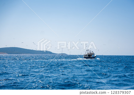 Fishing boat near the Croatian coast surrounded by a flock of seagulls above the sea. Traditional fishing, coastal life and maritime nature in the Adriatic. 128379307