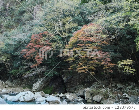 有鬆鼠的風景 有鬆鼠的風景 128379575