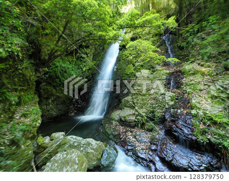 Yamaguchi City/Kinkei Falls (Onna Falls) Yamaguchi City/Kinkei Falls (Onna Falls) 128379750