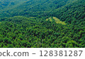 Aerial view of a forest clearing among mixed green forest on a summer day. Glade in a coniferous-deciduous forest from a bird's eye view. 128381287