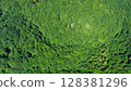 Bird's eye view of treetops in the deciduous forest on summer sunny day. Aerial drone footage of treetops in a deciduous forest. 128381296