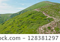 Aerial view of young tourists walking along a mountain trail with backpacks to the top of the mountain. Hiking, climbing, traveling, trekking, backpacking. 128381297