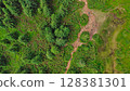 Aerial view of a group of young hikers with backpacks walking along a winding rocky forest path to the top of the mountain. Hiking, climbing, traveling, trekking, backpacking. 128381301