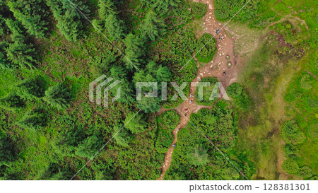 Aerial view of a group of young hikers with backpacks walking along a winding rocky forest path to the top of the mountain. Hiking, climbing, traveling, trekking, backpacking. 128381301