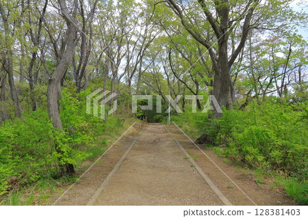 Miyagi Prefecture, Shiogama City, Minato Park 128381403