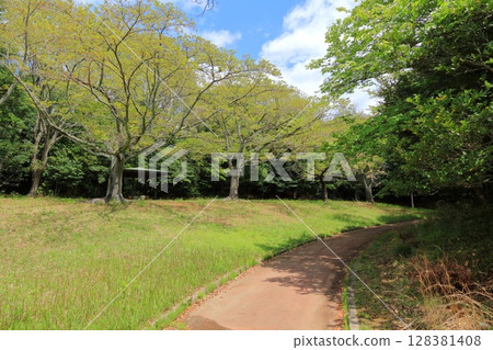 Miyagi Prefecture, Shiogama City, Minato Park 128381408