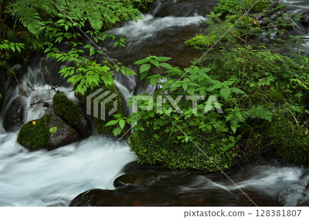 A clear stream flowing through the greenery A clear stream flowing through the greenery 128381807