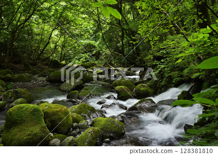 A clear stream flowing through the fresh green forest A clear stream flowing through the fresh green forest 128381810