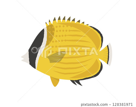 矢量圖的蝴蝶魚 矢量圖的蝴蝶魚 128381971