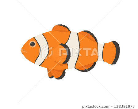 矢量圖的小丑魚 矢量圖的小丑魚 128381973