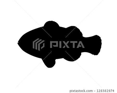 Clownfish silhouette_vector illustration 128381974