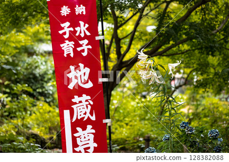 Tokorozawa City, Saitama Prefecture, Tamon-in Temple, Mountain Lilies 128382088