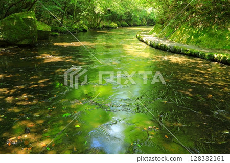 Takekiri Valley in summer (Usa City) Takekiri Valley in summer (Usa City) 128382161